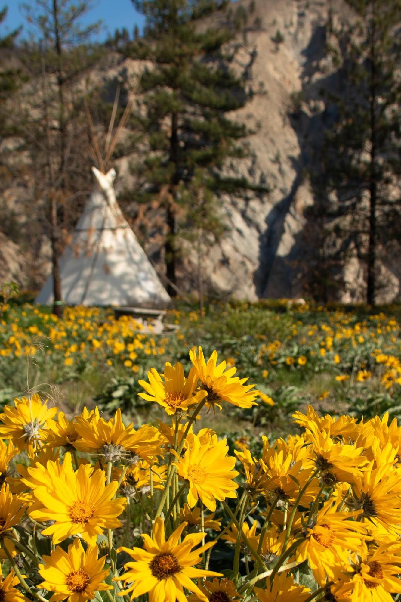 Kumsheen Rafting Resort Lytton Екстериор снимка